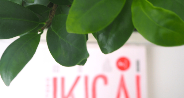 ikigai lauratuero consultora de marketing